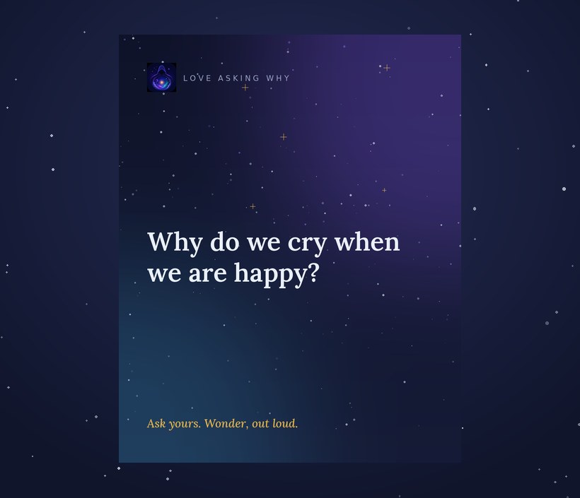 The One Why Print