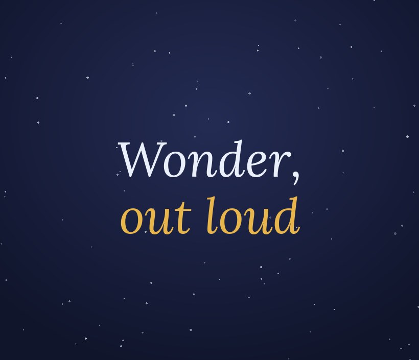 “Wonder, out loud” Tee